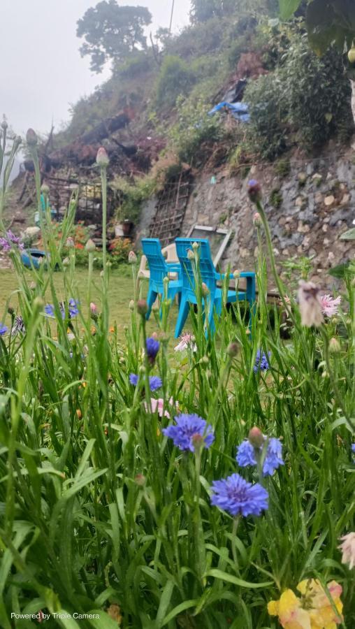 Mohraj Home Stay Bhowali Eksteriør bilde