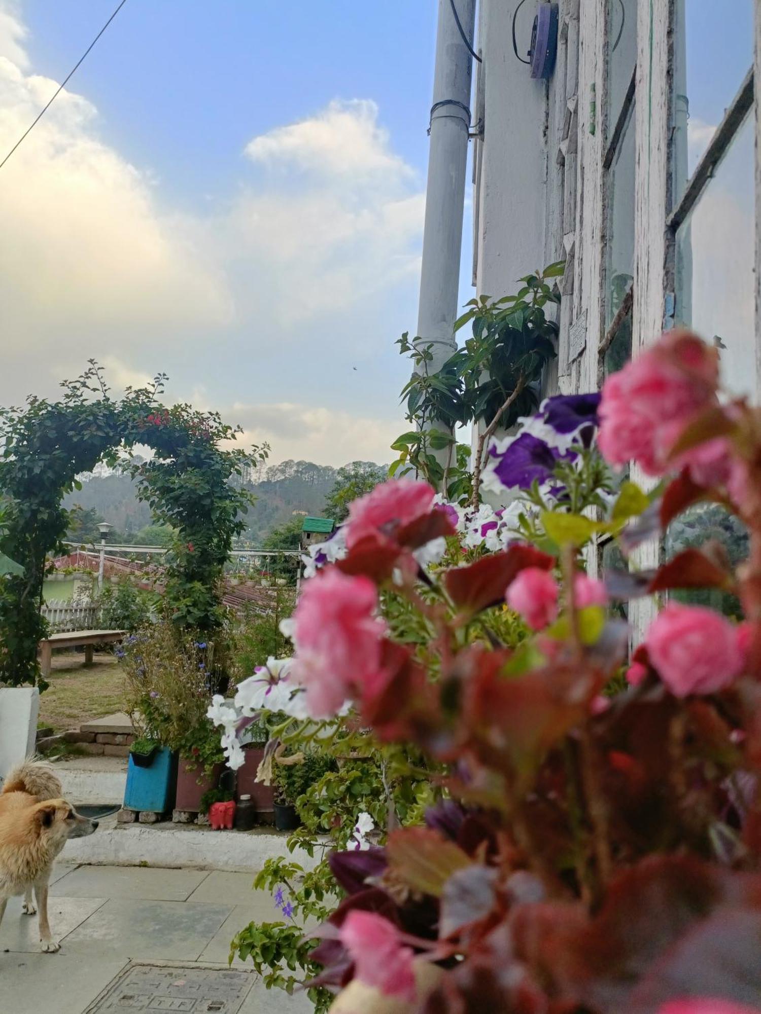 Mohraj Home Stay Bhowali Eksteriør bilde